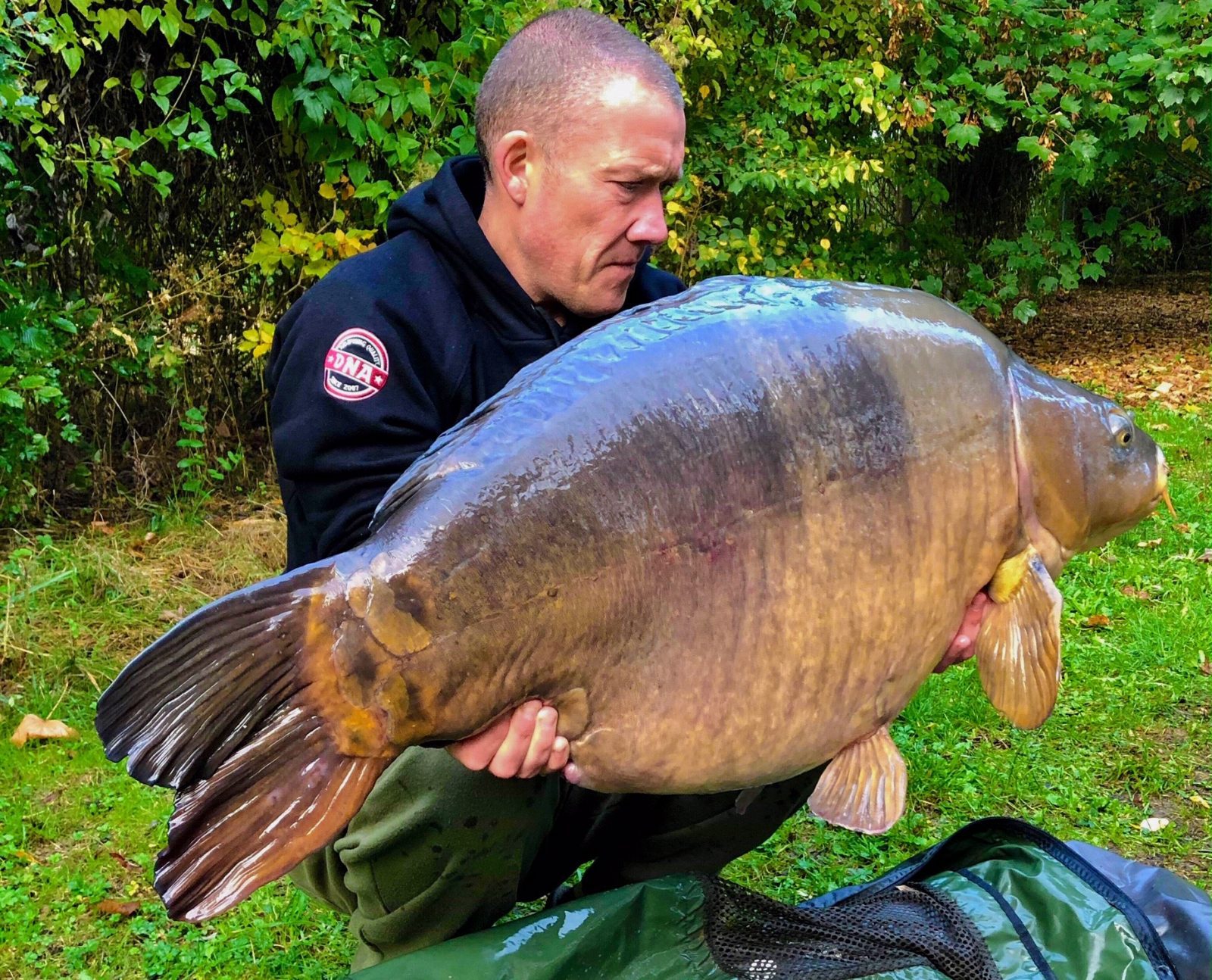 Particles – the forgotten baits? - Big Carp News