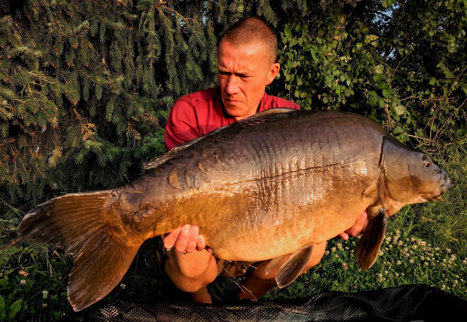 Un poisson rouge de 30 kg attrapé dans un lac en France (photos et