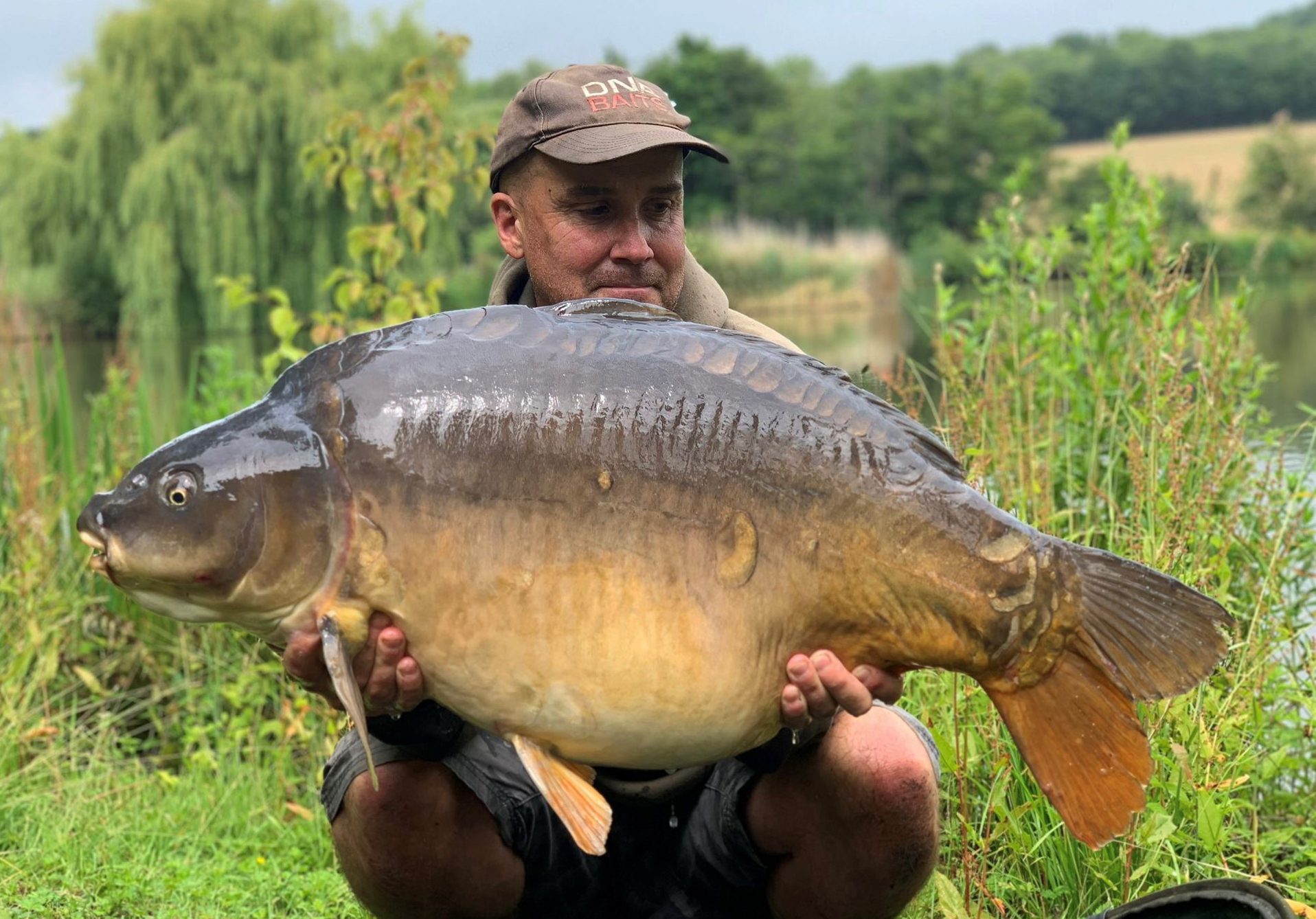 Particles – the forgotten baits? - Big Carp News