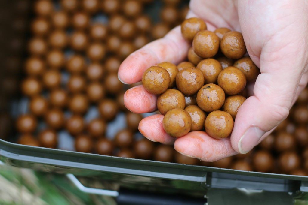 Switch Boilies
